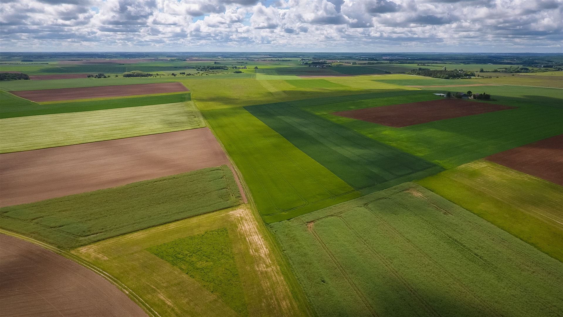 Agri Land